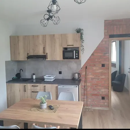 Majer Centrum Starowka Daire