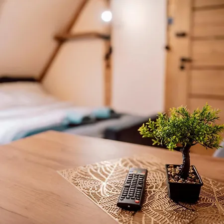 Majer Centrum Starowka Apartment Leba