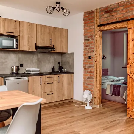 Majer Centrum Starowka Apartment Leba