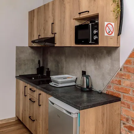 Majer Centrum Starowka Apartment Leba