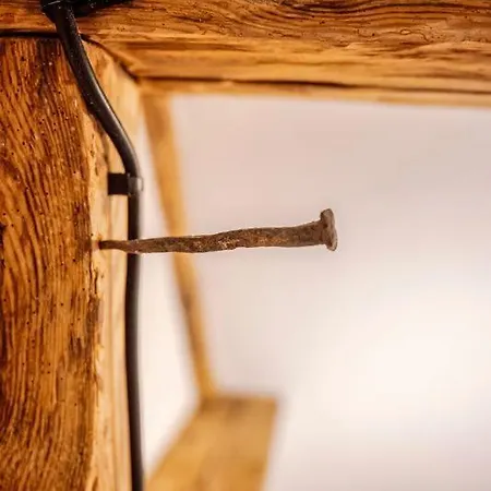 Majer Centrum Starowka Daire