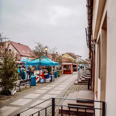 Majer Centrum Starowka