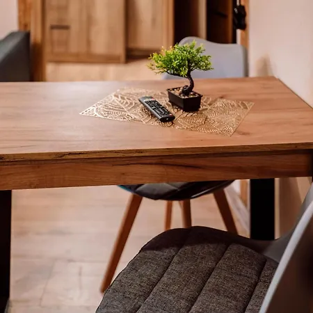 Majer Centrum Starowka Apartment Leba
