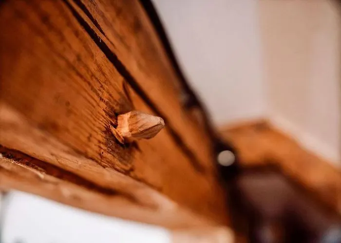 Majer Centrum Starowka アパート ウェバ