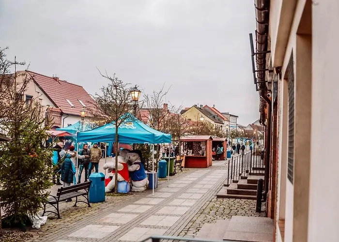 Majer Centrum Starowka